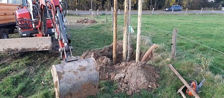 gepflanzter Baum und Bagger